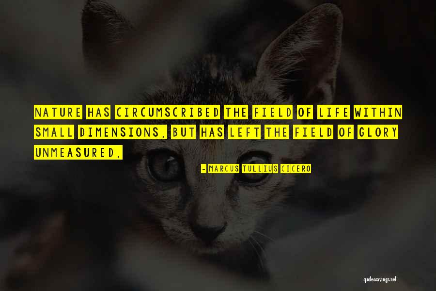 Escape Weight Quotes By Marcus Tullius Cicero Escape Weight Quotes By Marcus Tullius Cicero