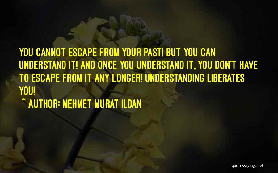 Escape Your Past Quotes By Mehmet Murat Ildan