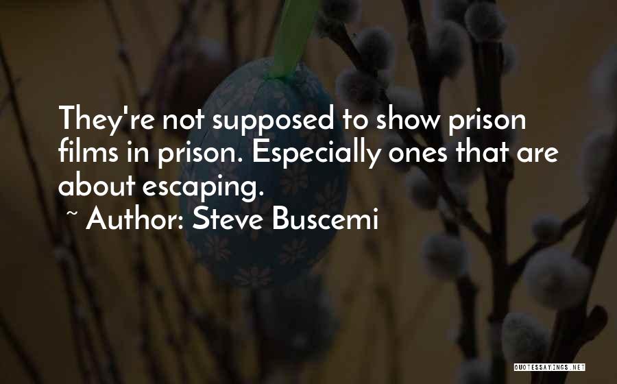 Escaping Prison Quotes By Steve Buscemi