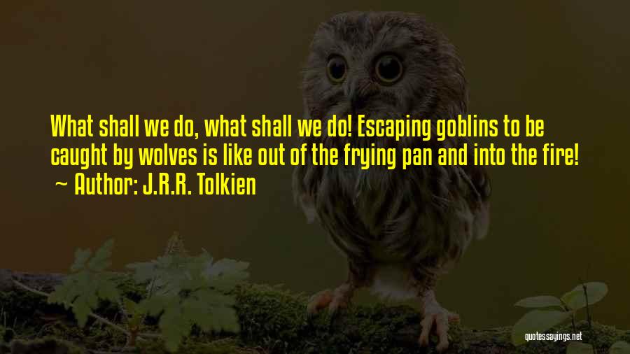 Escaping The Past Quotes By J.R.R. Tolkien