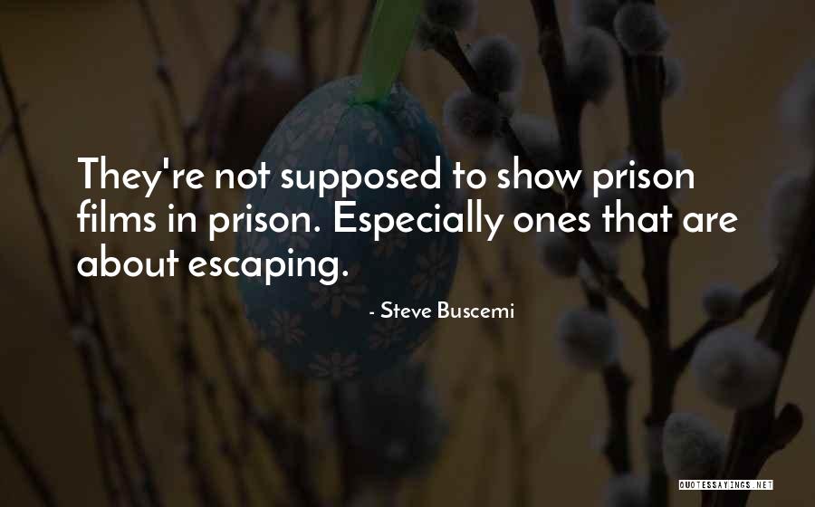 Escaping The Prison Quotes By Steve Buscemi Escaping The Prison Quotes By Steve Buscemi