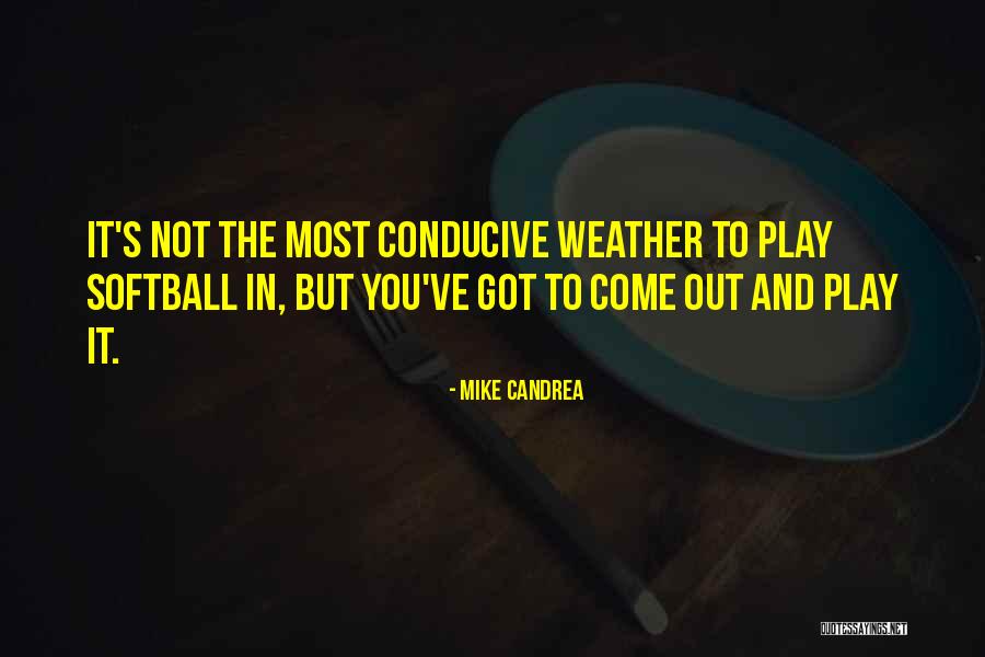 Escarabajos Verdes Quotes By Mike Candrea Escarabajos Verdes Quotes By Mike Candrea