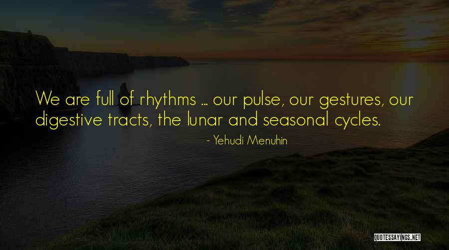 Escarola In English Quotes By Yehudi Menuhin Escarola In English Quotes By Yehudi Menuhin