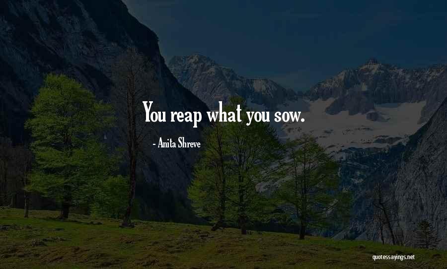 Escasos Como Quotes By Anita Shreve Escasos Como Quotes By Anita Shreve