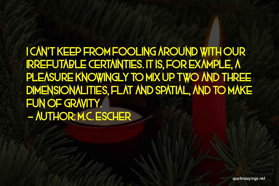 Escher Quotes By M.C. Escher