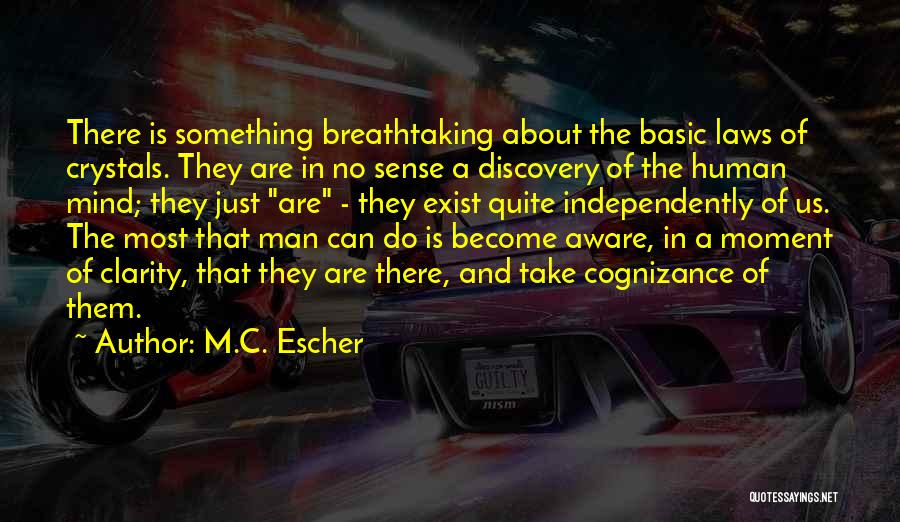 Escher Quotes By M.C. Escher