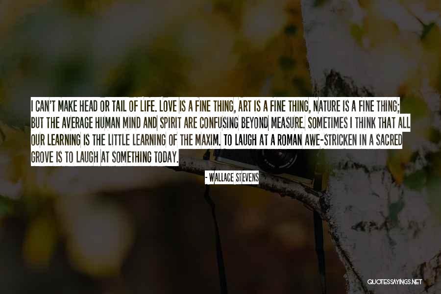 Esclavista Concepto Quotes By Wallace Stevens Esclavista Concepto Quotes By Wallace Stevens