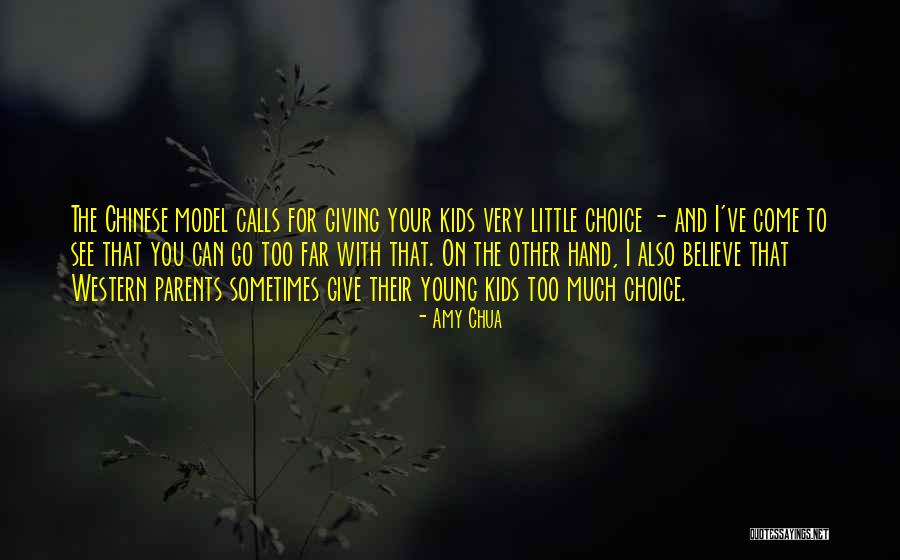 Esclavitud De Los Negros Quotes By Amy Chua Esclavitud De Los Negros Quotes By Amy Chua