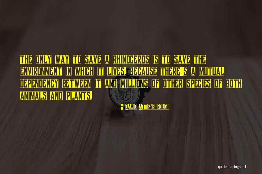 Escorpiones En Quotes By David Attenborough Escorpiones En Quotes By David Attenborough