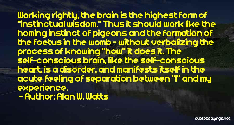Escorpiones Negros Quotes By Alan W. Watts