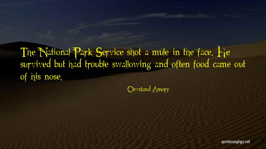 Escorrer Em Quotes By Cleveland Amory Escorrer Em Quotes By Cleveland Amory
