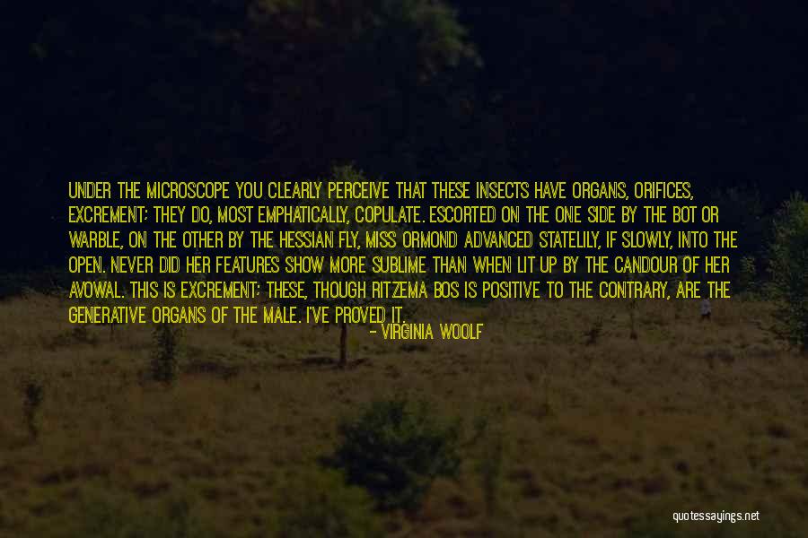 Escorted Quotes By Virginia Woolf Escorted Quotes By Virginia Woolf