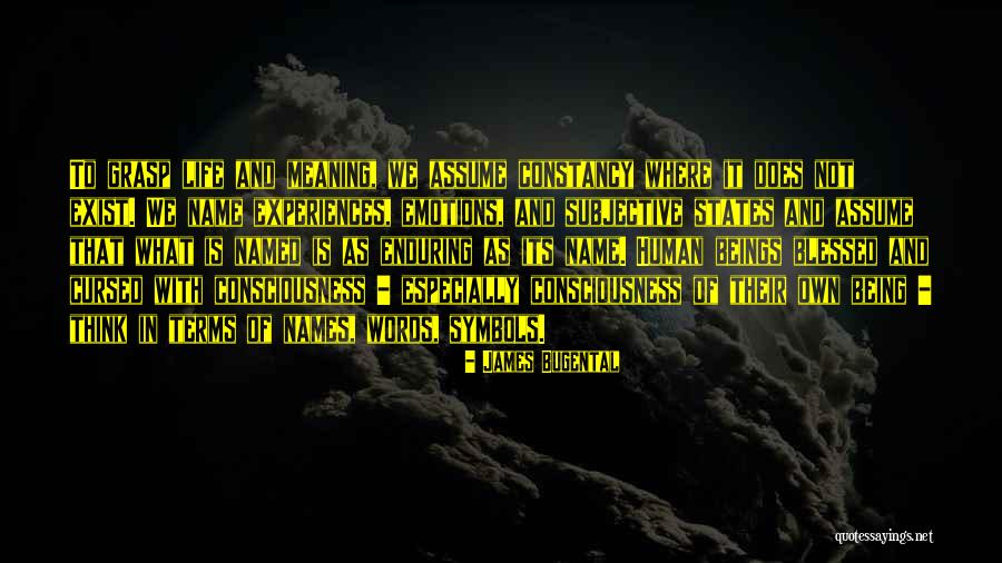 Escrupuloso Definicion Quotes By James Bugental Escrupuloso Definicion Quotes By James Bugental