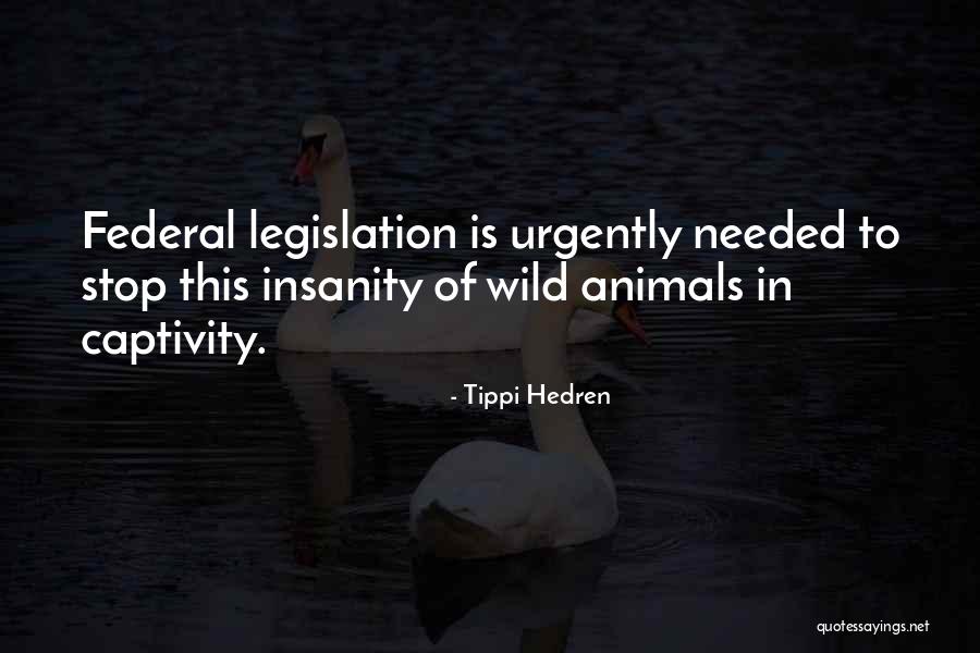 Escuche 10 Quotes By Tippi Hedren Escuche 10 Quotes By Tippi Hedren