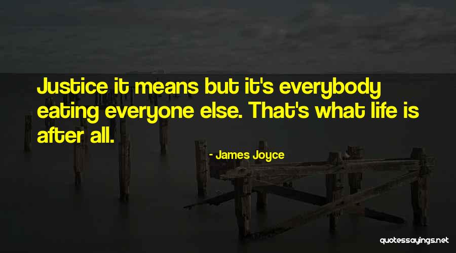 Escurre Plato Quotes By James Joyce Escurre Plato Quotes By James Joyce