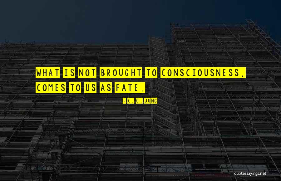 Escutopram Quotes By C. G. Jung Escutopram Quotes By C. G. Jung