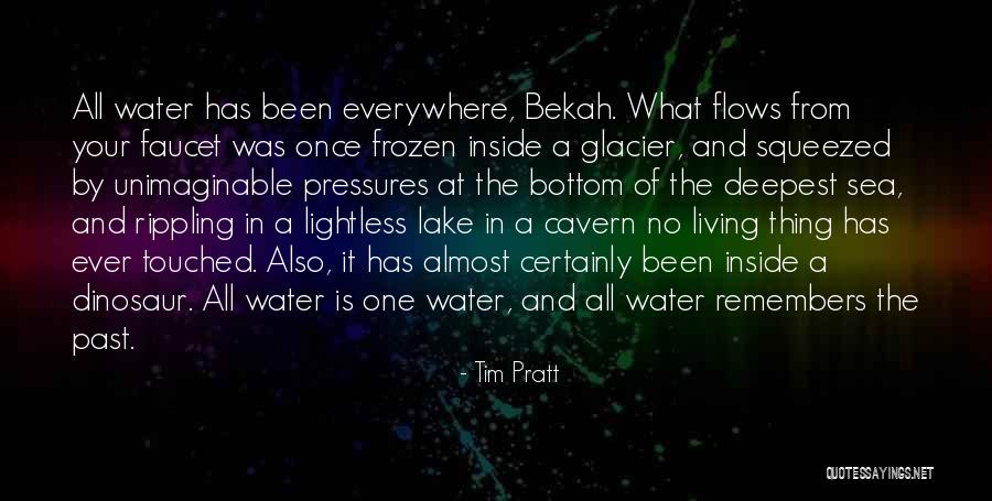 Escutopram Quotes By Tim Pratt Escutopram Quotes By Tim Pratt