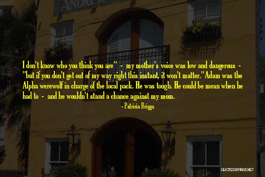 Ese Gang Quotes By Patricia Briggs Ese Gang Quotes By Patricia Briggs