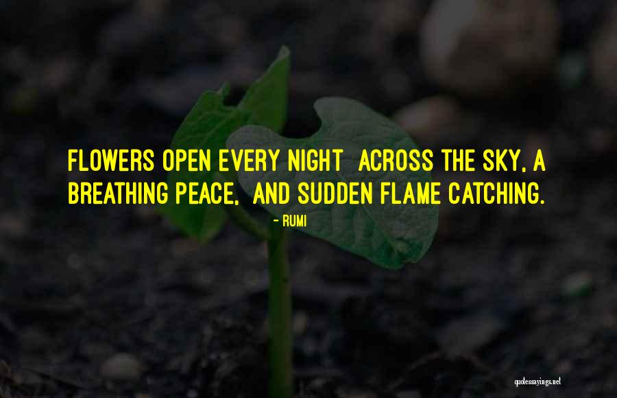 Esenlik Ekilis Quotes By Rumi Esenlik Ekilis Quotes By Rumi