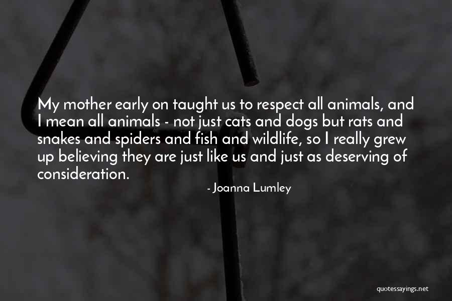 Esettanulm Nyok Quotes By Joanna Lumley Esettanulm Nyok Quotes By Joanna Lumley