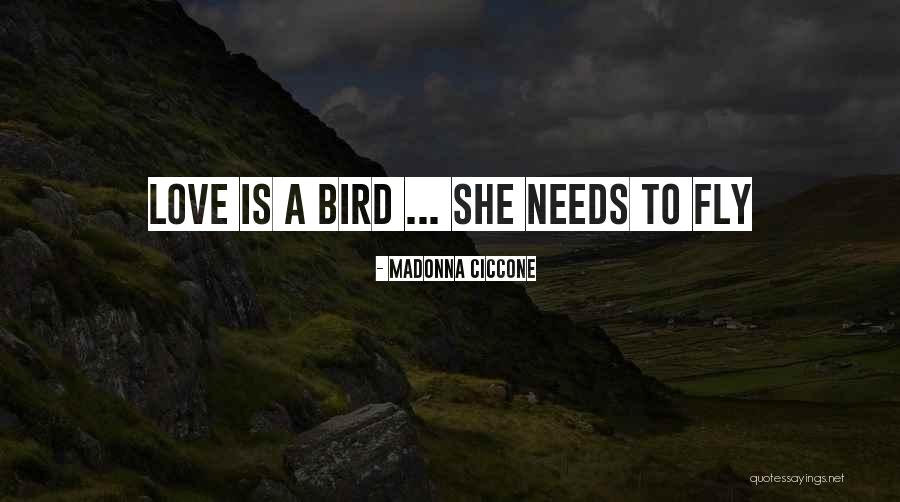 Esetter Quotes By Madonna Ciccone Esetter Quotes By Madonna Ciccone