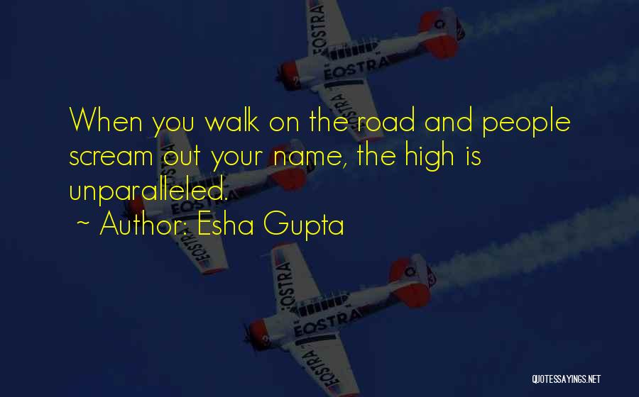 Esha Gupta Quotes 535964