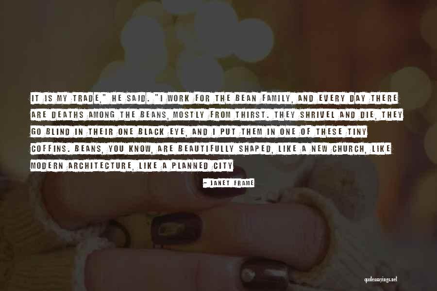 Eshaghian Babak Quotes By Janet Frame Eshaghian Babak Quotes By Janet Frame