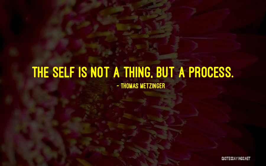 Esita Smith Quotes By Thomas Metzinger Esita Smith Quotes By Thomas Metzinger