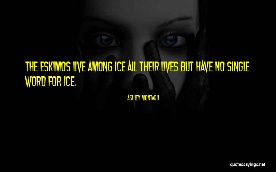 Eskimos Quotes By Ashley Montagu Eskimos Quotes By Ashley Montagu