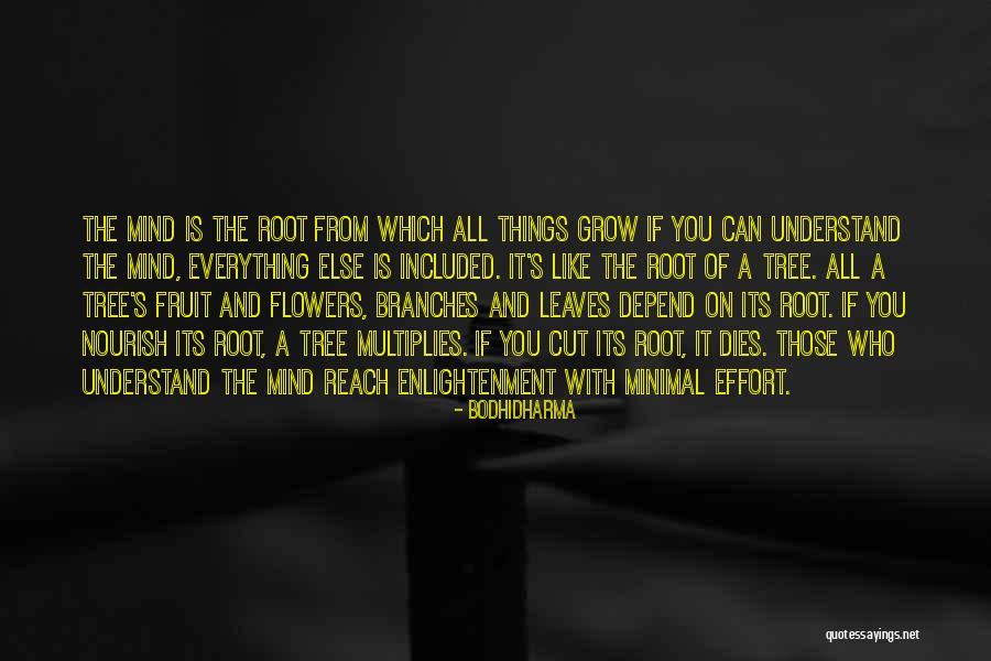 Esmaeel Samaliazad Quotes By Bodhidharma Esmaeel Samaliazad Quotes By Bodhidharma
