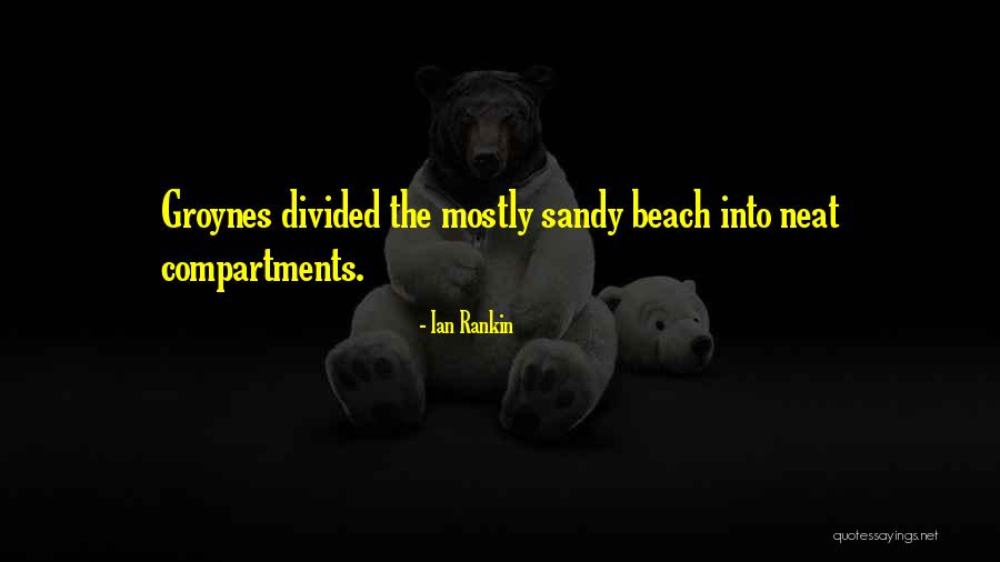 Esmaeil Keyvanshokooh Quotes By Ian Rankin Esmaeil Keyvanshokooh Quotes By Ian Rankin