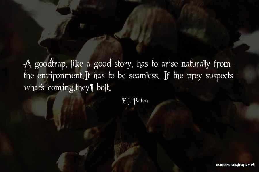 Esmate Quotes By E.J. Patten Esmate Quotes By E.J. Patten