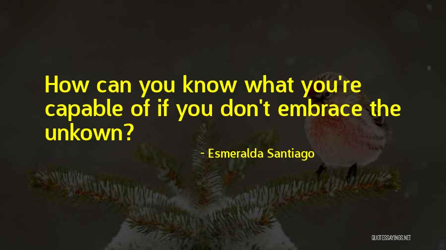 Esmeralda Santiago Quotes 113649