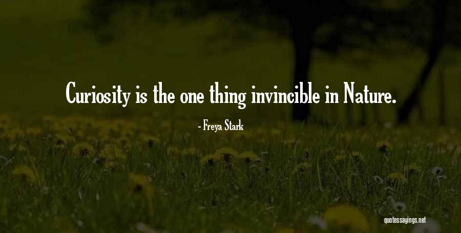 Esos Locos Quotes By Freya Stark