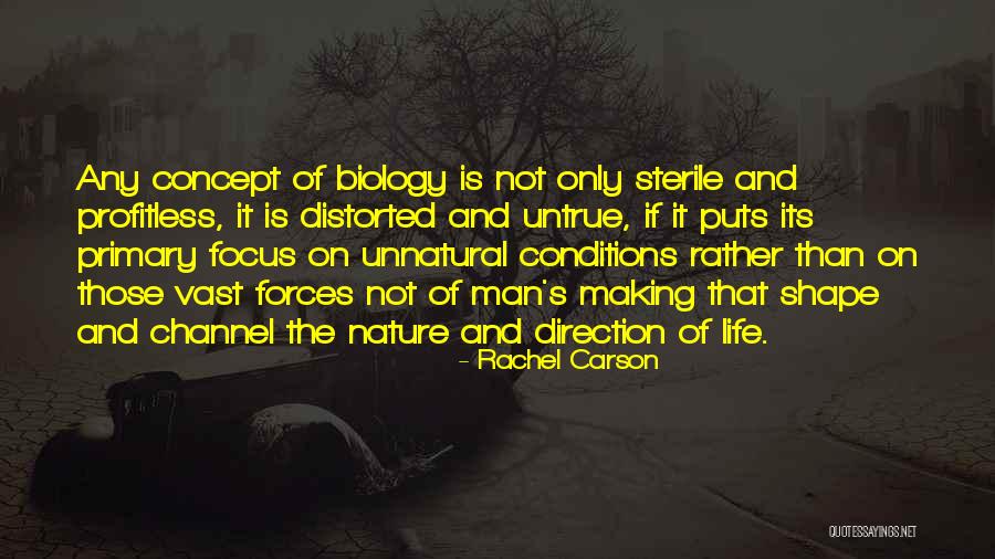 Espacher Quotes By Rachel Carson Espacher Quotes By Rachel Carson