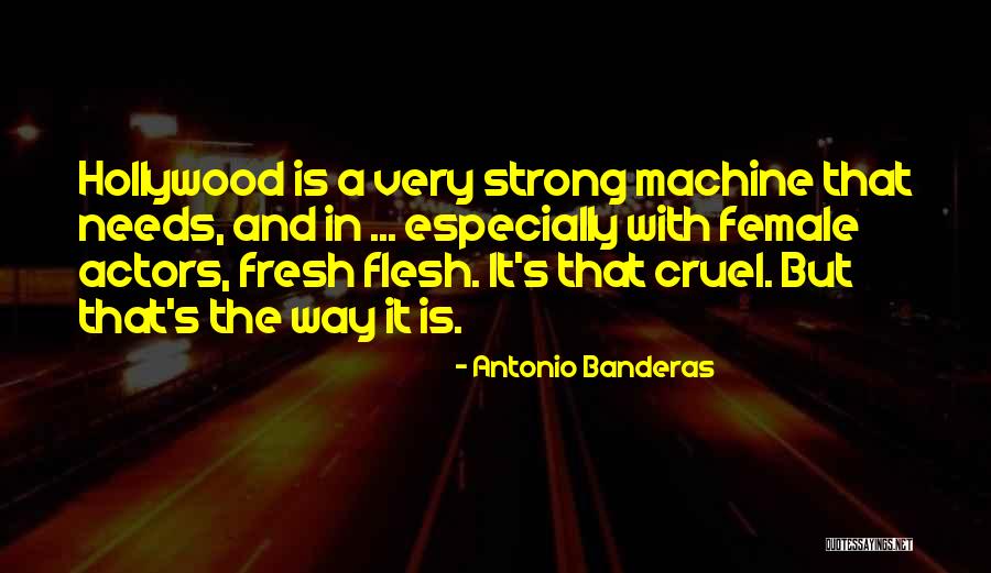 Espanador De Poeira Quotes By Antonio Banderas Espanador De Poeira Quotes By Antonio Banderas
