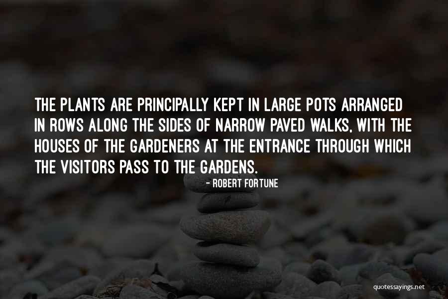 Espanita Blanco Quotes By Robert Fortune Espanita Blanco Quotes By Robert Fortune