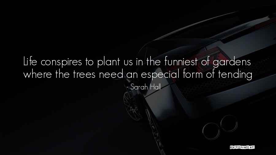 Especial Quotes By Sarah Hall Especial Quotes By Sarah Hall