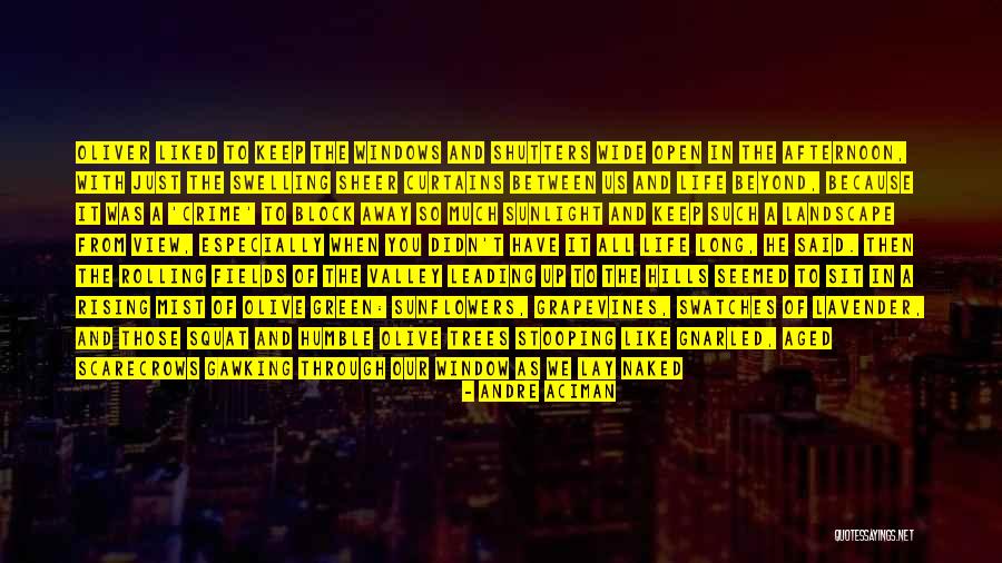 Especially With You Quotes By Andre Aciman Especially With You Quotes By Andre Aciman
