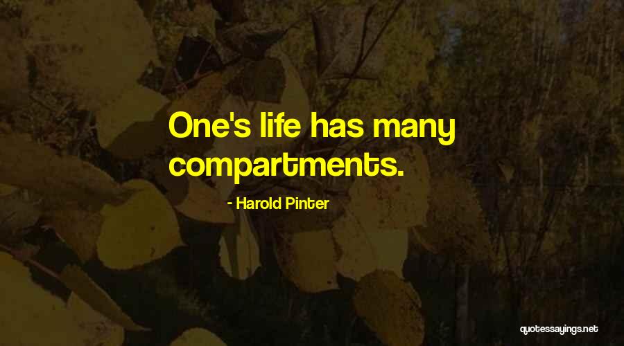 Espectaculares Electronicos Quotes By Harold Pinter Espectaculares Electronicos Quotes By Harold Pinter