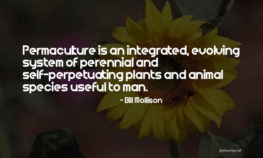 Esperen Quotes By Bill Mollison Esperen Quotes By Bill Mollison