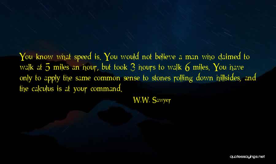 Esperto Em Quotes By W.W. Sawyer Esperto Em Quotes By W.W. Sawyer