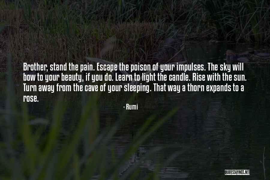 Esperto Motor Quotes By Rumi Esperto Motor Quotes By Rumi