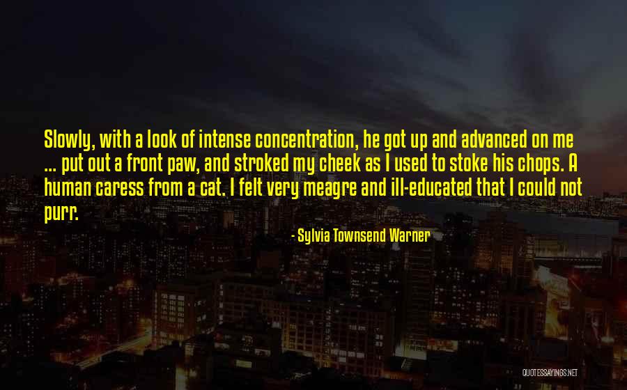 Espina De Pescado Quotes By Sylvia Townsend Warner Espina De Pescado Quotes By Sylvia Townsend Warner