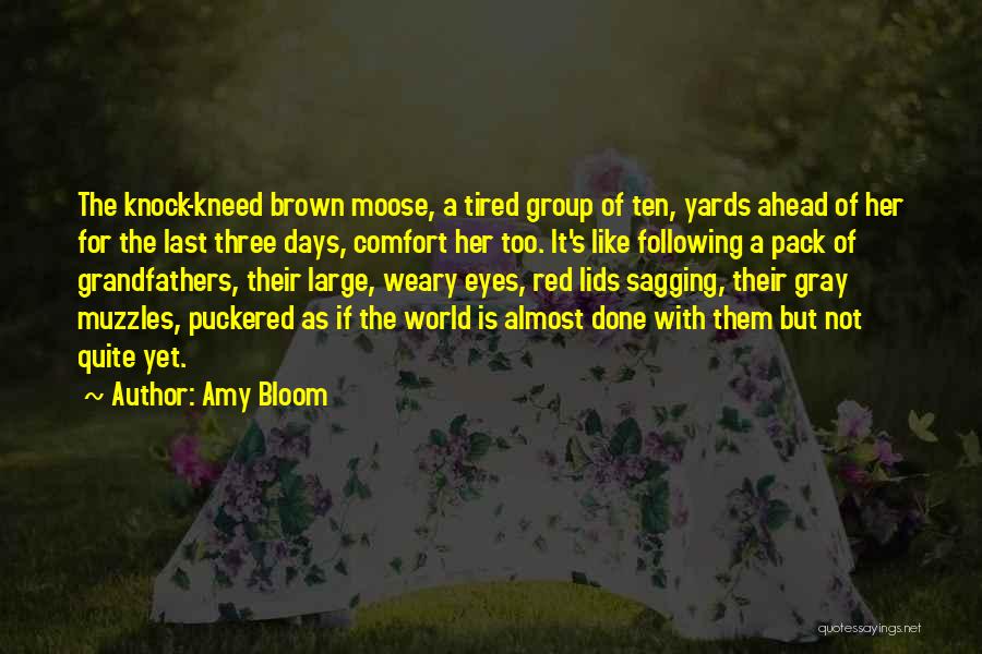 Espinazo Del Quotes By Amy Bloom