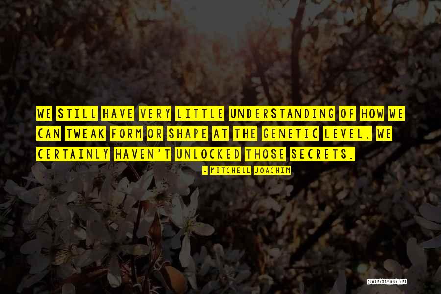 Espinhalnovo Quotes By Mitchell Joachim