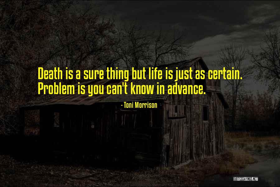 Espolon Anejo Quotes By Toni Morrison Espolon Anejo Quotes By Toni Morrison