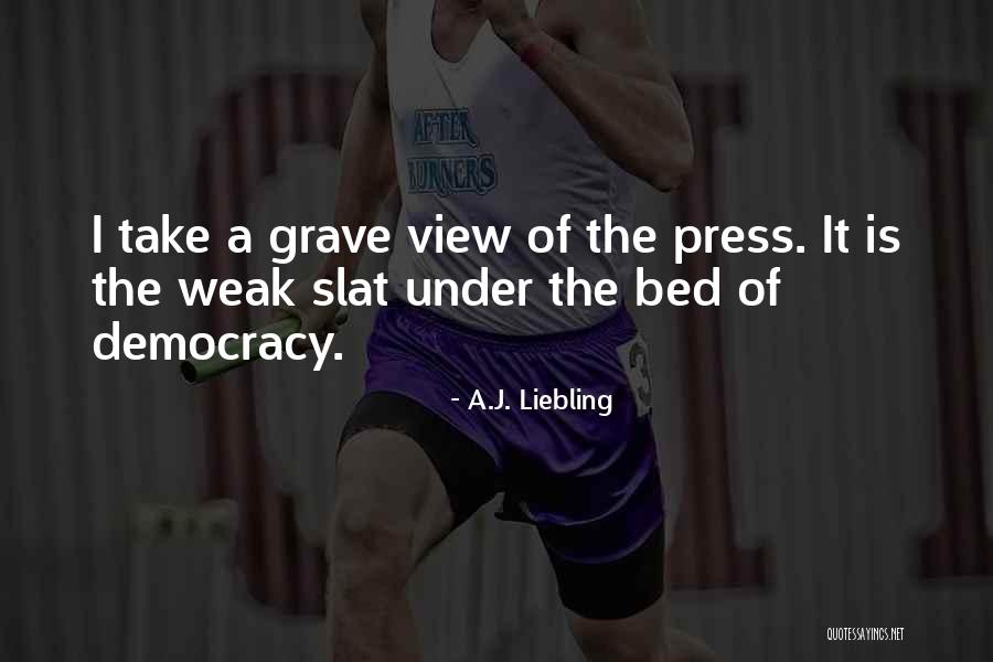 Esponja Vegetal Quotes By A.J. Liebling