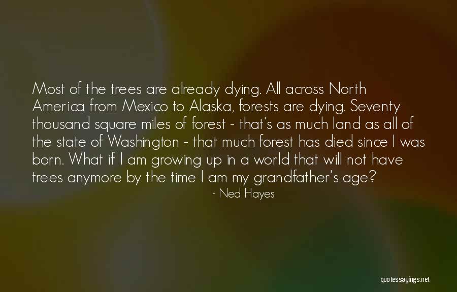 Espressa Usa Quotes By Ned Hayes Espressa Usa Quotes By Ned Hayes