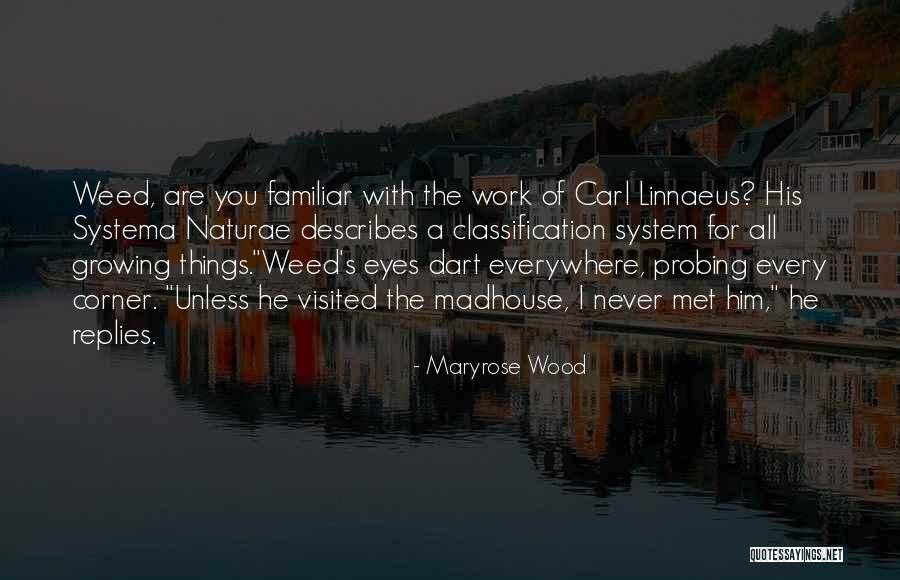 Esquel Quotes By Maryrose Wood Esquel Quotes By Maryrose Wood